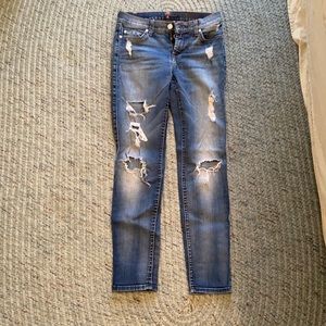 7 for all mankind skinny jean